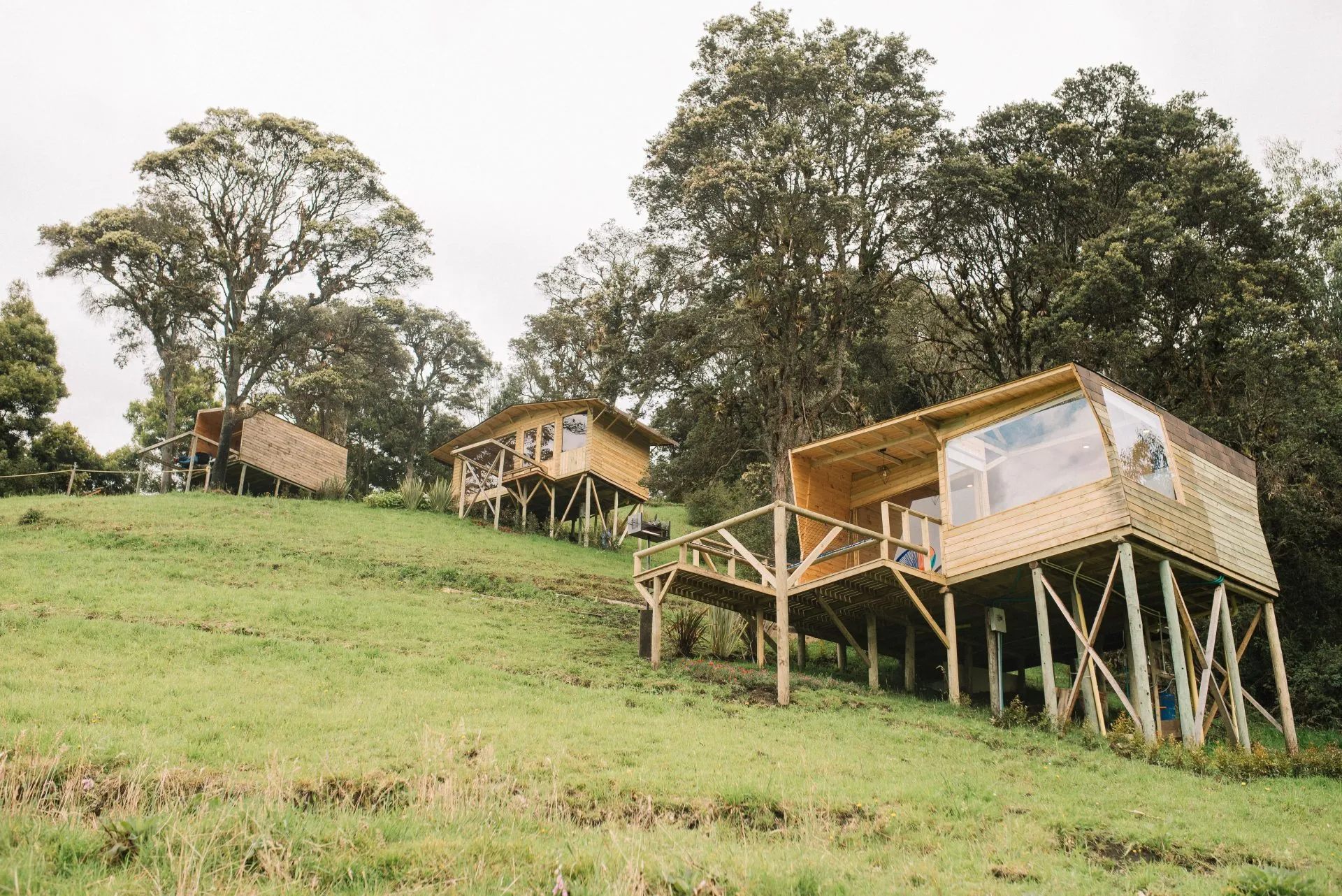 Tres cabañas de madera sobre pilotes en una ladera de pasto, rodeadas de árboles altos, en Neusa Hills