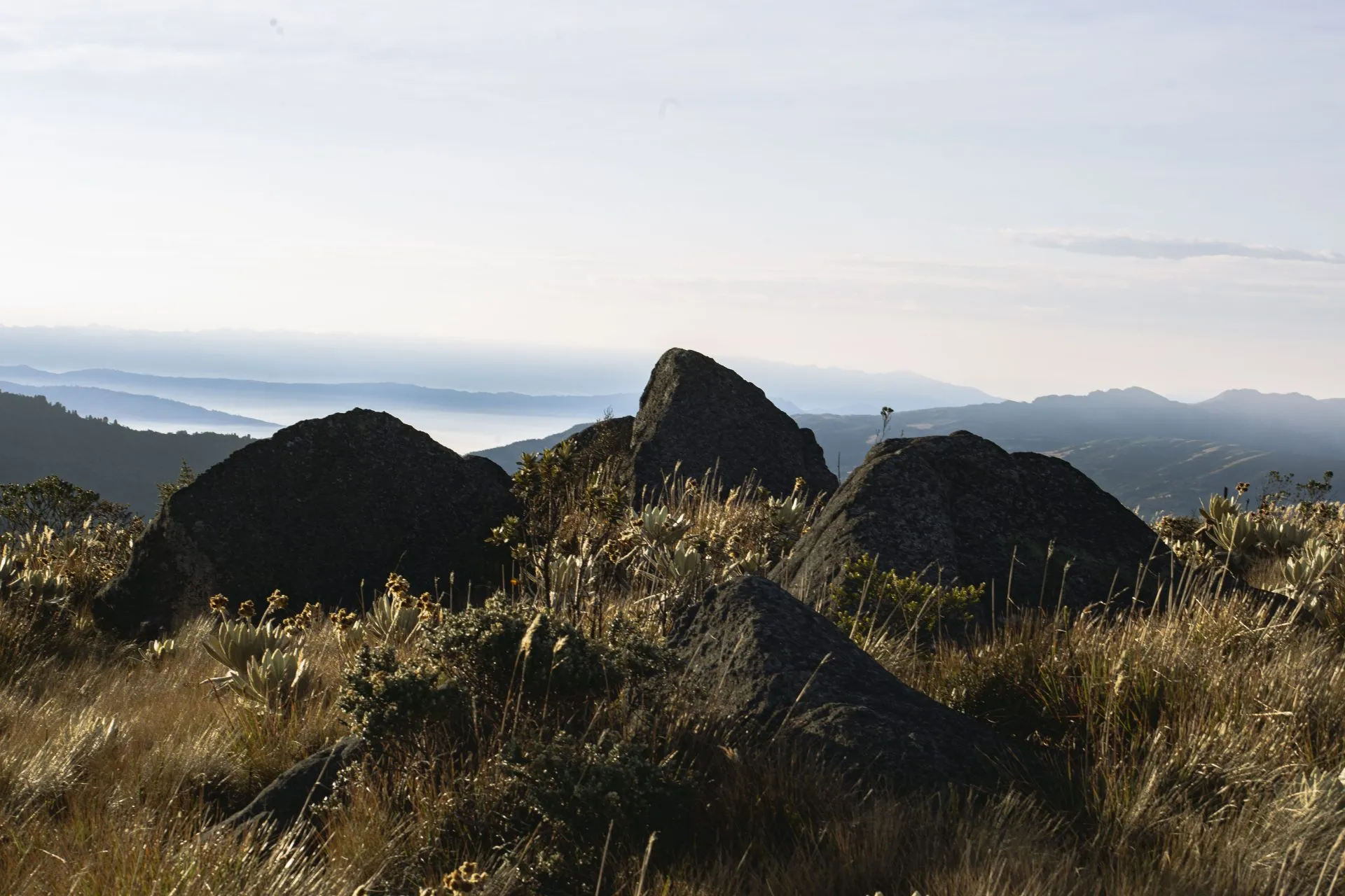 Large dark boulders among frailejones and golden grass on a páramo ridge, with hazy mountain ranges and low cloud in the distance