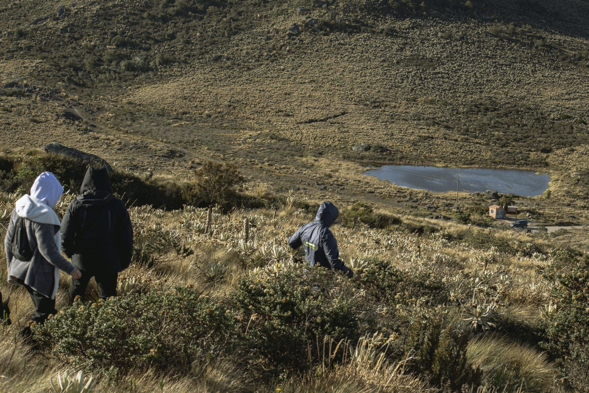 Three hikers walking through páramo vegetation toward a small lagoon near the Neusa reservoir, Cundinamarca