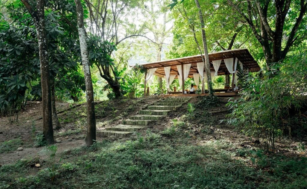 Open wooden yoga shala among tropical trees at One Santuario, Palomino
